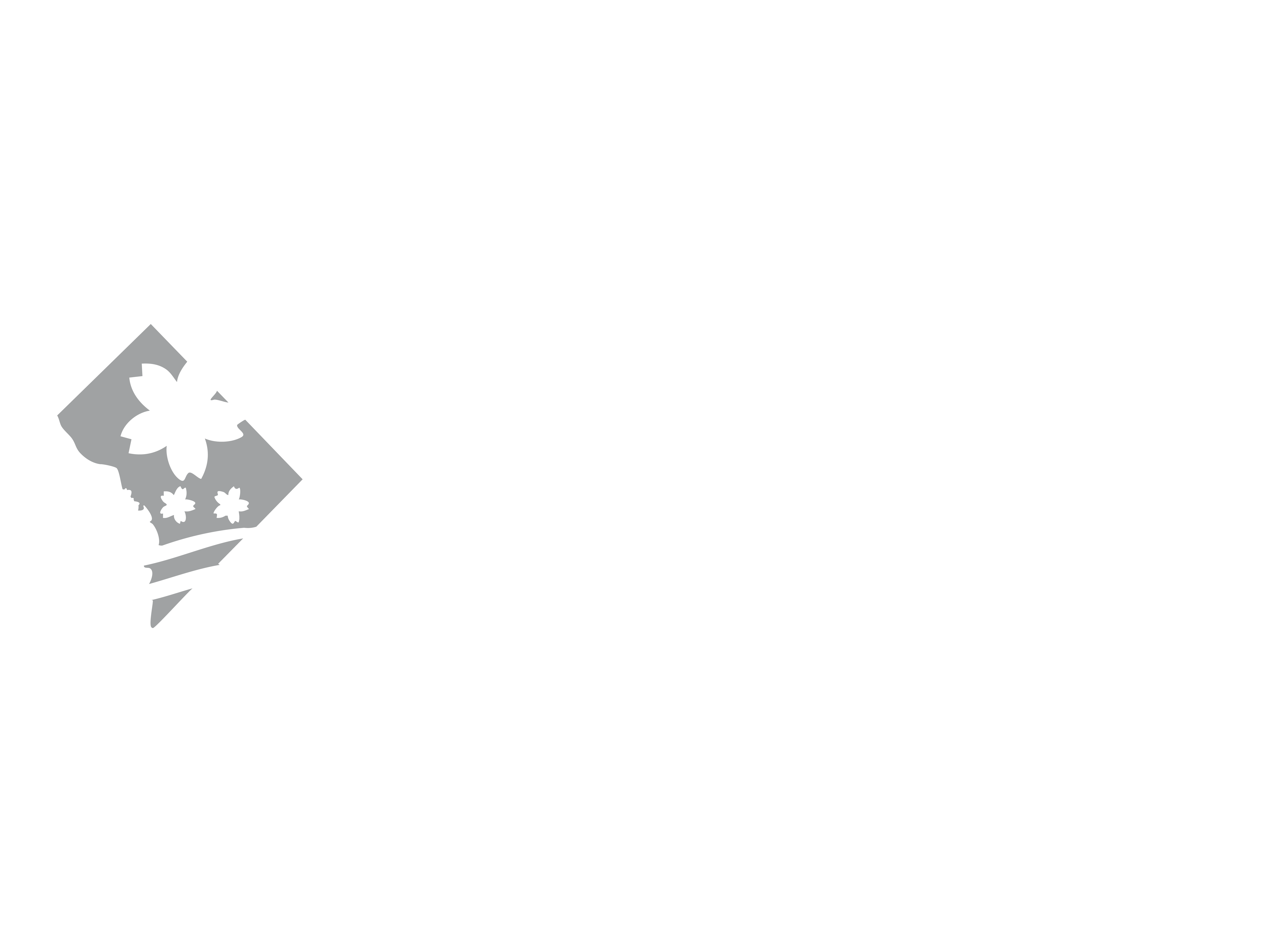 Mayor's Office on Asian and Pacific Islander Affairs